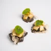 Thai Tofu 1 (1)