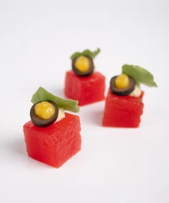 Compressed Watermelon 1 (1)