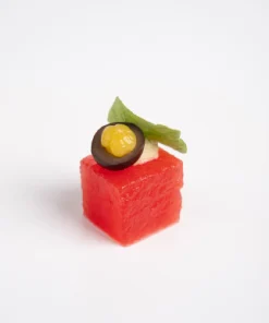 Compressed Watermelon 2 (1)