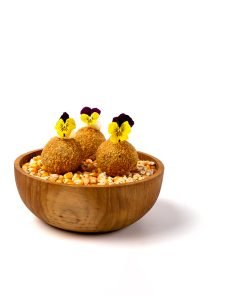 2website Arancini