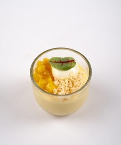 Mango Pudding Website3