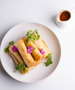 Vegetable Egg Roll 2