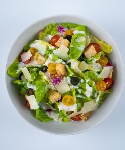 Website Caesar Salad4