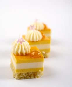 Website Mango Coconut Mouse Cake3