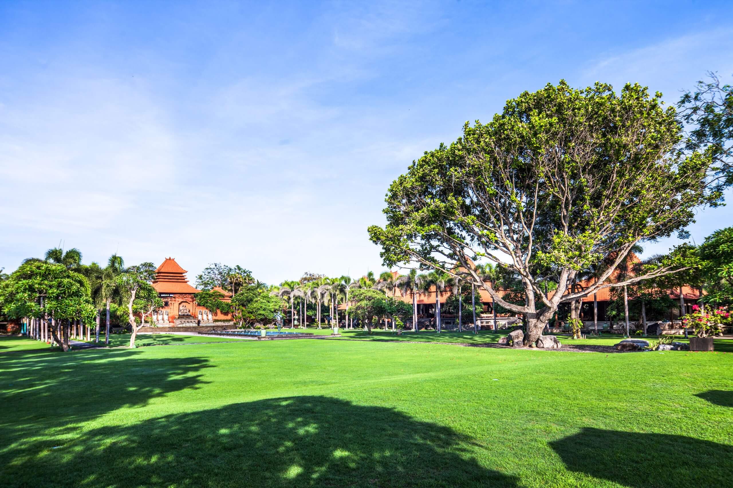 Main Lawn