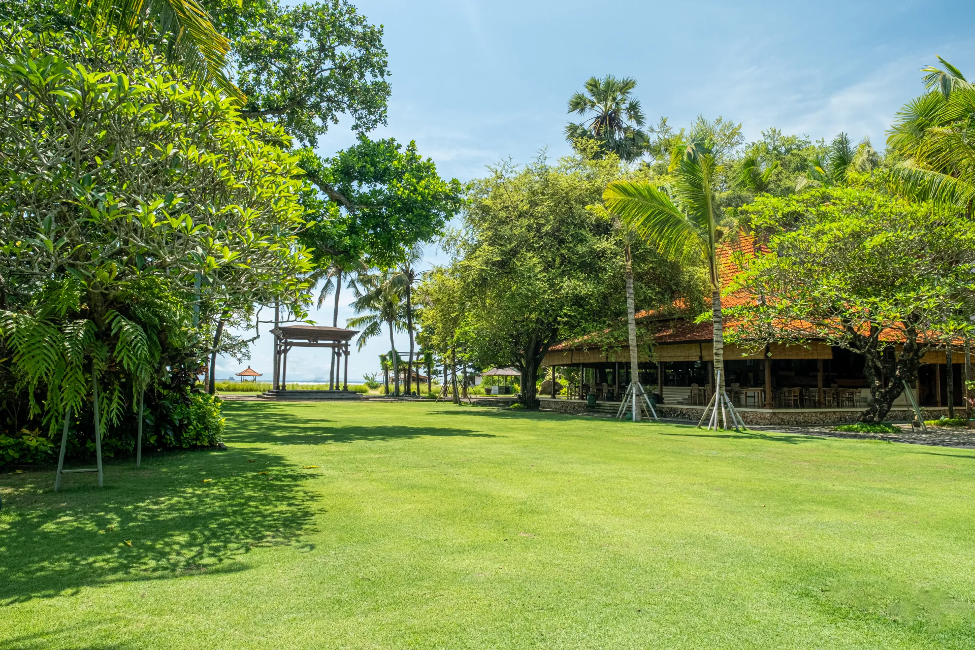 Paon Lawn